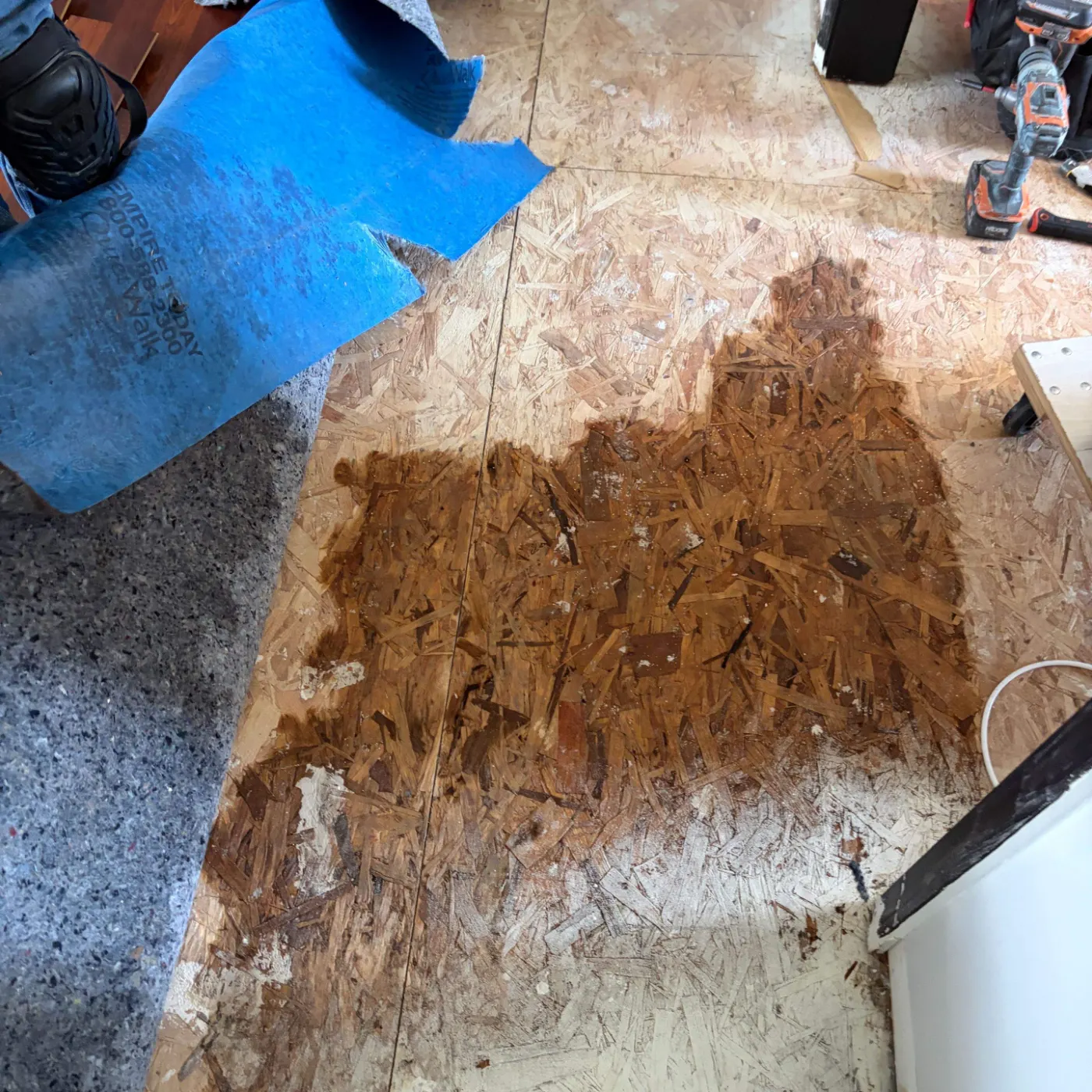 IICRC certified water restoration crew on-site in Honey Creek, IN