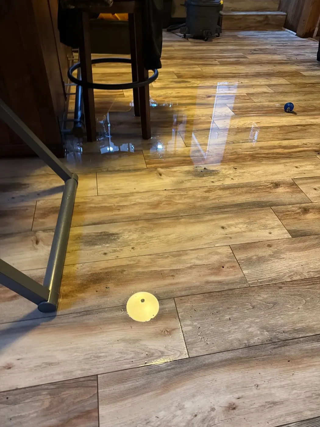 Thermal imaging during water damage assessment in Honey Creek residence