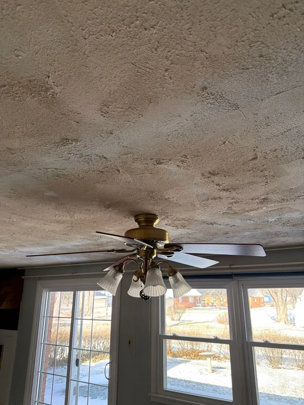 Category 3 sewage cleanup in Honey Creek basement